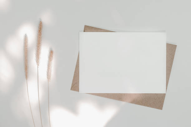 茶色の紙の封筒に白い白い紙に、毛むきなキツネテールの乾燥した花と日光が付いています。水平空白グリーティングカードのモックアップ。白い背景にクラフト紙の封筒のトップビュー。� - stationary sheet template paper ストックフォトと画像
