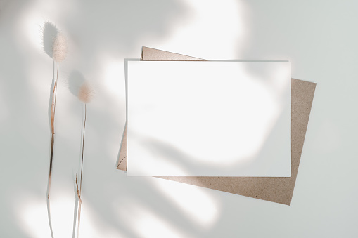 Blank white paper on brown paper envelope with Rabbit tail dry flower and sunlight. Mock-up of horizontal blank greeting card. Top view of Craft paper envelope on white background. Flat lay minimal