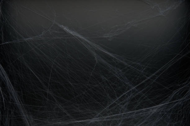 istock Decoration of artificial spider web over black background. Happy halloween and horror concept. Flat lay, top view, copy space. 1270255237