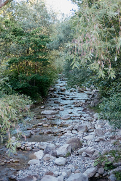 istock Baye de Clarens mountain stream 1270255957