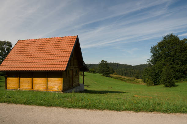 istock Wood cottage with a beautiful forest and mountain views 1270256698