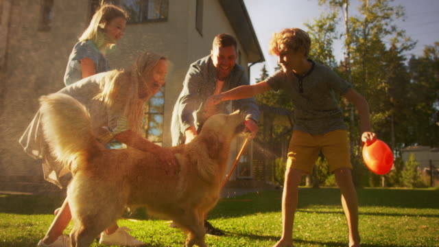 Father, Daughter, Son Play With Loyal Golden Retriever, Dog Tries to Catch Water from Garden Water Hose. Smiling Family Spending Fun Outdoors Time Together in Backyard. Golden Hour Sunset. Slow Motion