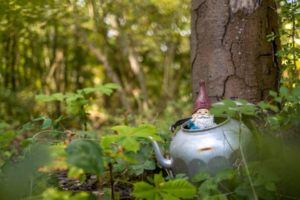 istock Garden gnome in the forest 1270258698