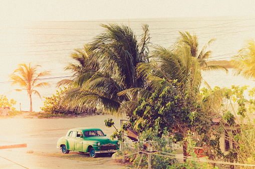 sun, vintage car and palmtrees, cuba in one picture.