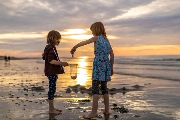 Siblings looking for shellfish during sunset, Netherlands