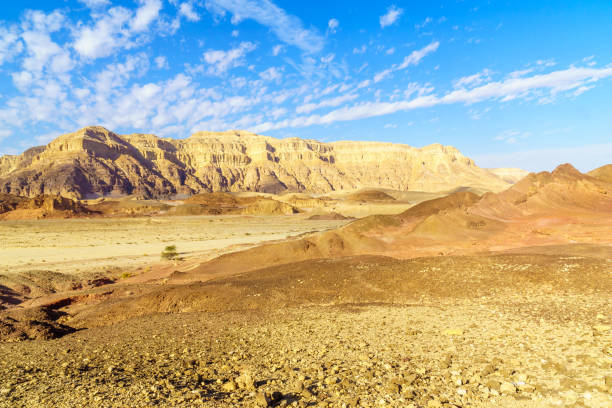 istock Landscape in the Timna Valley 1270260096