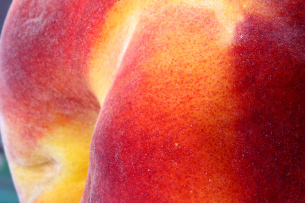 istock close-up organic fresh peach on background 1270260289