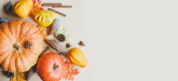 istock Autumn composition banner, with pumpkins, squash, pine cones. 1270260783