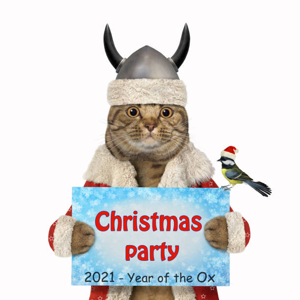 istock Cat Santa in viking helmet 3 1270262296