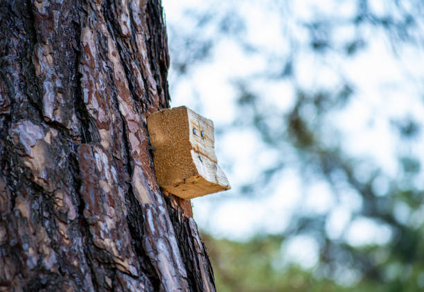 istock Wood square board on tree made by fisherman 1270263735
