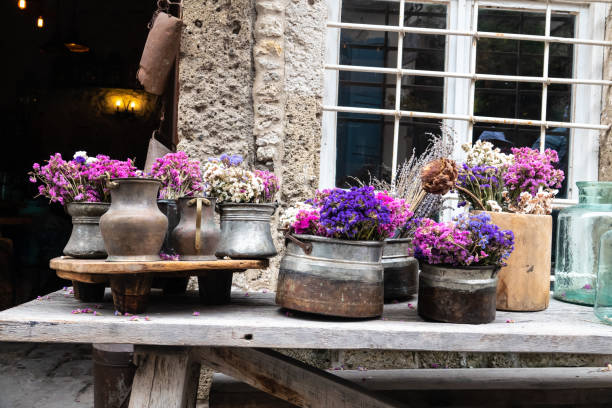 istock Ornamental plants of different types in pots on the bench 1270266109