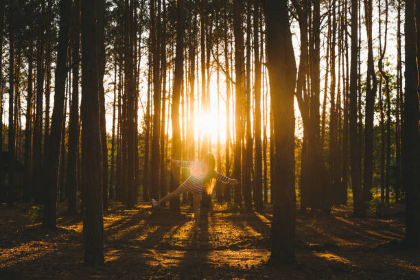 istock Young woman running at the beautiful forest during bright sunset 1270266291