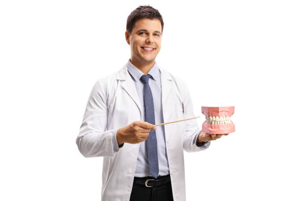 istock Young male dentist holding a jaw model and pointing with a stick 1270267487