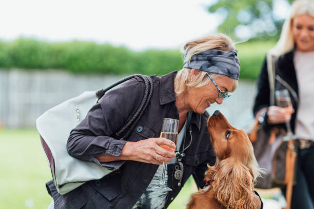You Smell Nice A shot of a hipster senior woman bending down and stroking a dog with a drink in hand at a baby shower. She is wearing smart casual clothing and is in a garden. dog disruptagingcollection stock pictures, royalty-free photos & images