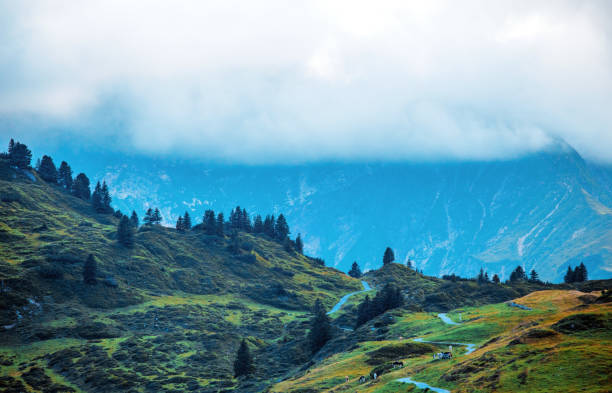 istock Beautiful Austrian countryside landscape view 1270270792