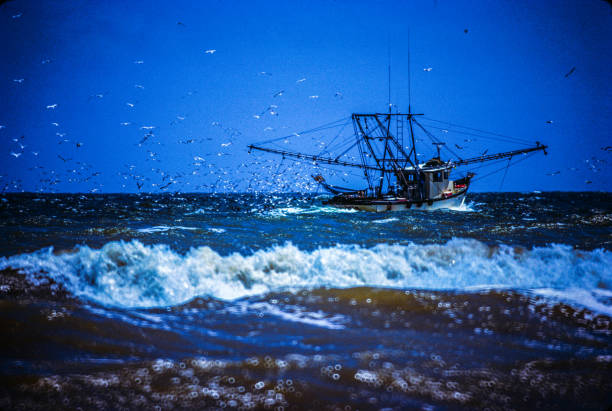 istock Shrimp boats nets silhouetted on ocean water seascape 1270272253