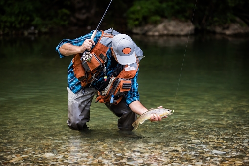 Un pescador de moscas pescando una trucha en el río de montaña photo