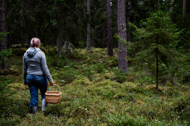 istock Woman walking in the forest, picking mushrooms 1270277046