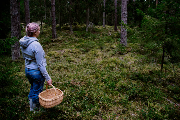istock Woman in the forest, picking mushrooms 1270277055