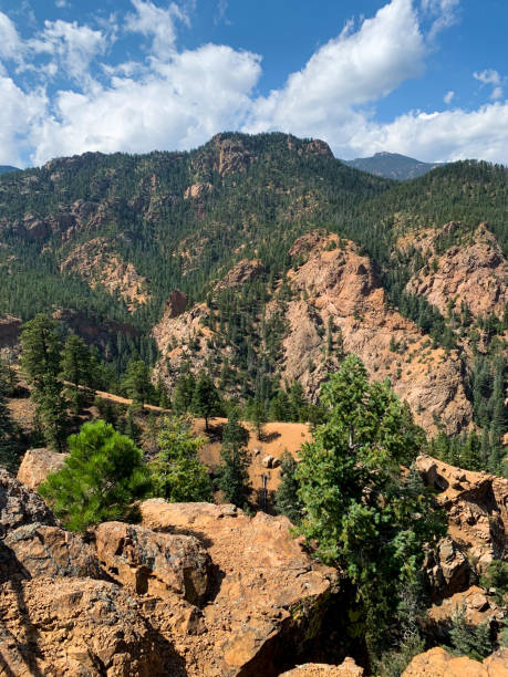 istock Rocky Mountain Treescape 1270277584