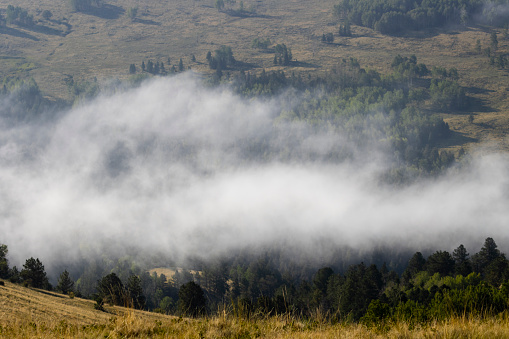 Beautiful foggy morning on Grouse Mountain Colorado