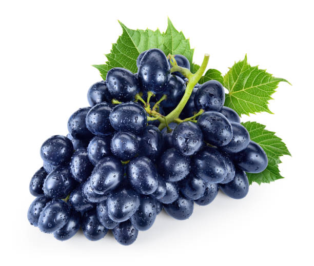 istock Black grape with drops isolate. Black grape with leaves on white. Wet blue grapes isolated on white. Full depth of field. 1270279068