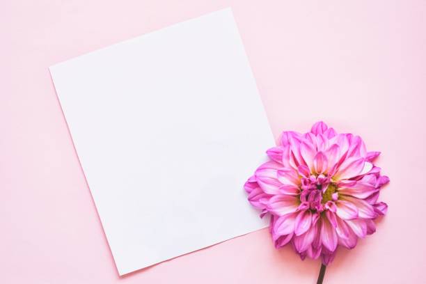 istock Mockup invitation. Blank paper greeting card, white envelope and pink flover. Top view. Copy space. 1270279720