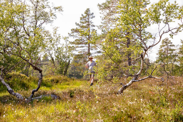 istock Guy walking on green grass between trees in Norway 1270279725