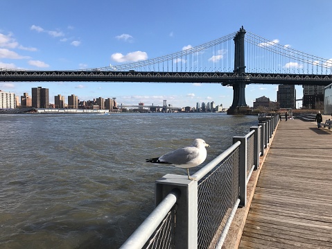 NYC In a Beautiful sunny day