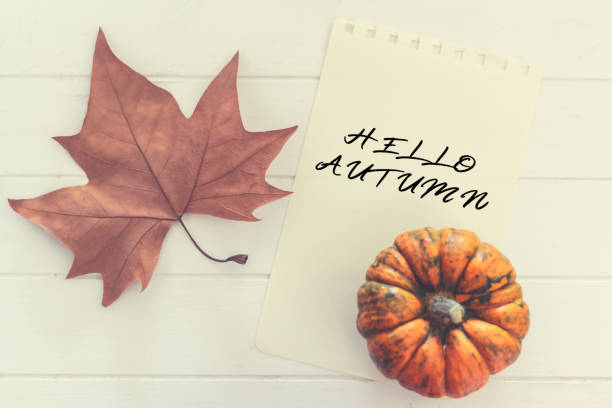 istock Pumpkin, autumnal leaf and paper with the text Hello Autumn 1270282786
