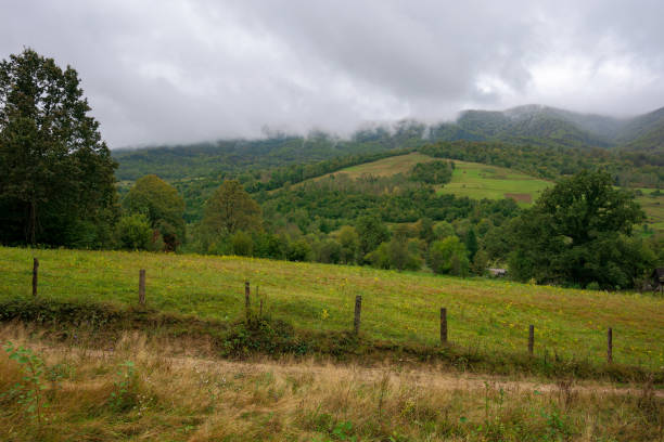 istock rural area in mountains 1270284800