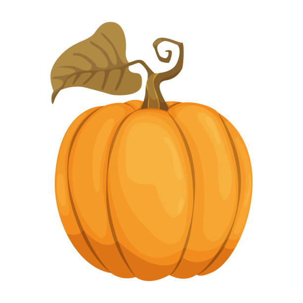 Ilustración de Icono De Calabaza De Dibujos Animados Calabaza De Otoño Naranja Y Amarilla Verdura De Calabaza Grande Cosecha De Granja Vegetal Fresco Y Sabroso y más Vectores Libres de Derechos de Ilustración de Icono De Calabaza De Dibujos Animados Calabaza De Otoño Naranja Y Amarilla Verdura De Calabaza Grande Cosecha De Granja Vegetal Fresco Y Sabroso y más Vectores Libres de Derechos de
