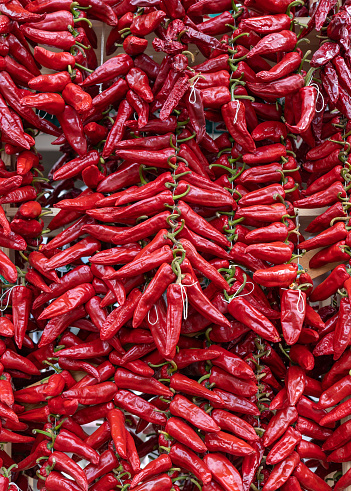 Ezpeleta, red hot peppers drying on basque house wall