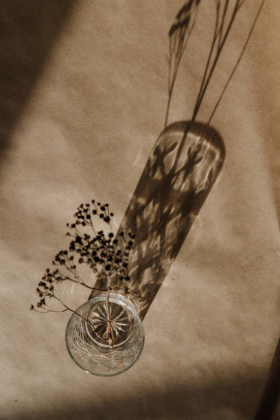 istock Abstract creative minimal composition with a dry grass over kraft paper. 1270287761