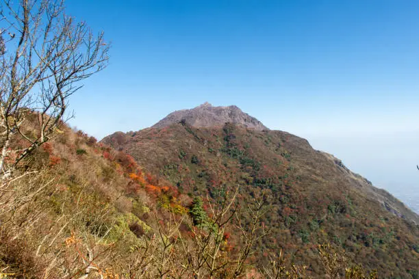 Colorful autumn view of Myoken Peak (Myōken) of Mount Unzen in Unzen Amakusa National Park. Rocky volcano peak among colorful autumn trees, leaves and dry branches, Nagasaki, Japan.