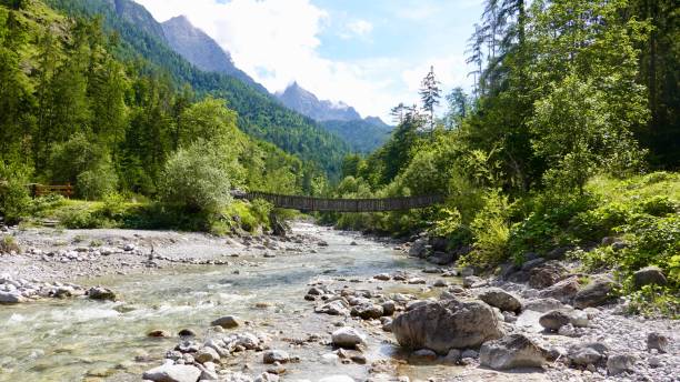 istock Creek, river in the high mountains 1270290287