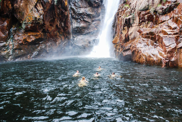 un groupe de jeunes randonneurs prend un bain rafraîchissant dans le trou de natation de litchfield - emu australia northern territory outback photos et images de collection