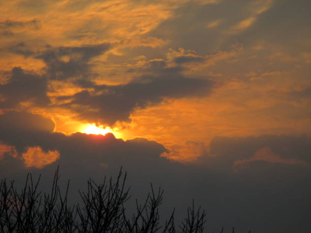 Magnificent sunset in winter in Buenos Aires, with the trees leafless in the winter.