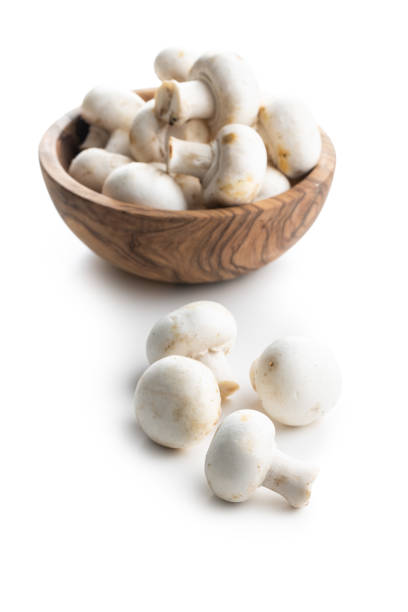 istock Fresh white mushroom mushrooms 1270296603