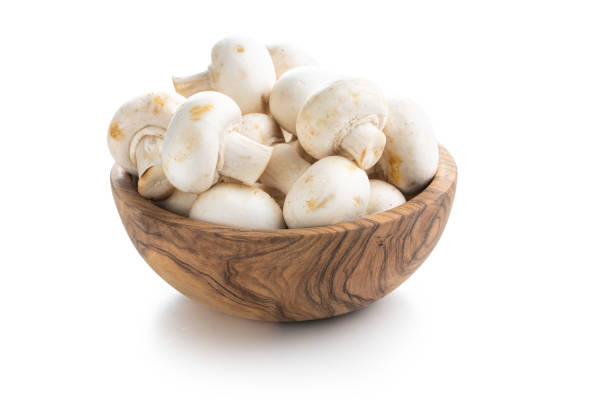 istock Fresh white mushroom mushrooms 1270296640