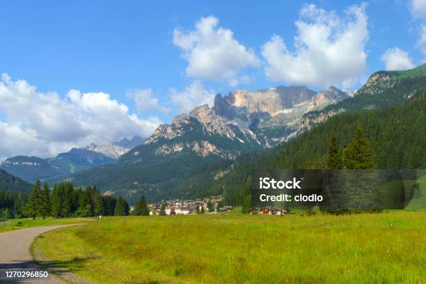 Along The Cycleway Of Fassa Valley Dolomites Stock Photo - Download Image Now - Dolomites, Flower, Canazei