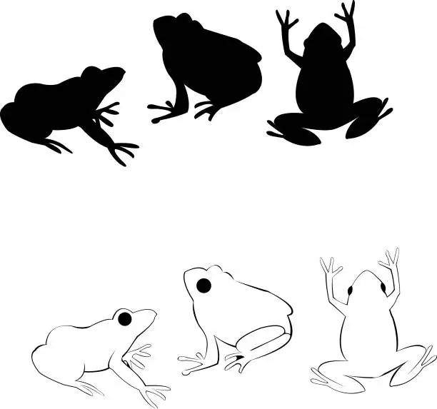 Vector illustration of Frogs,