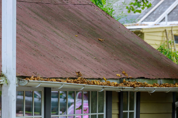 istock Over gutter on a roof with leaves stuck in the mesh 1270299858