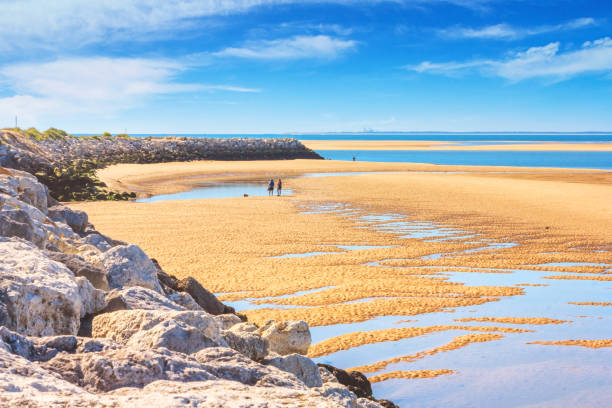Coastal landscape - view of the Atlantic coast at low tide near the town of La Palmyre Coastal landscape - view of the Atlantic coast at low tide near the town of La Palmyre, the Nouvelle-Aquitaine region, in the south-west of France groyne photos stock pictures, royalty-free photos & images