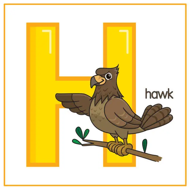 Vector illustration of Vector illustration of Hawk isolated on a white background. With the capital letter H for use as a teaching and learning media for children to recognize English letters Or for children to learn to write letters Used to learn at home and school.