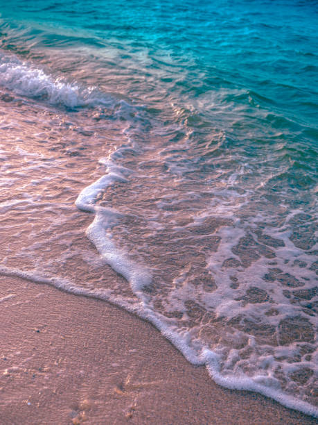 turquoise and aqua color wave rolling up on pink sand with white foam edge - waters edge wave beach soap sud imagens e fotografias de stock