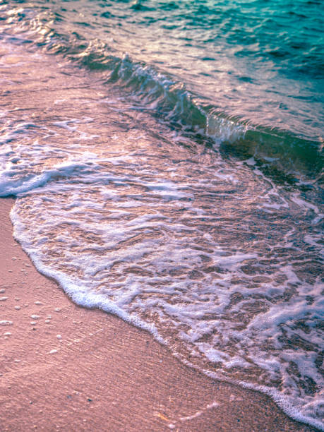 turquoise and aqua color wave rolling up on pink sand with white foam edge - waters edge wave beach soap sud imagens e fotografias de stock