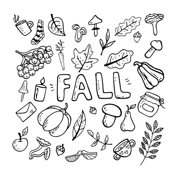 Vector illustration of Vector flat illustration on an autumn theme: mushrooms, vegetables, leaves, cute attributes. Doodle objects are cut out.