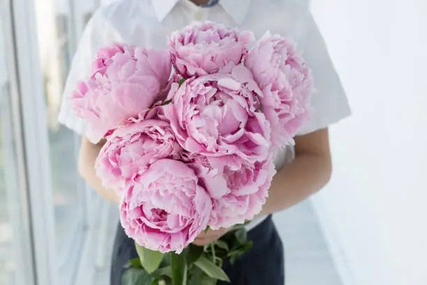 boy in white shirt hold big gentle bouquet of pink peony. Congratulations with birthday, mother's day, anniversary, valentines day. Holiday concept