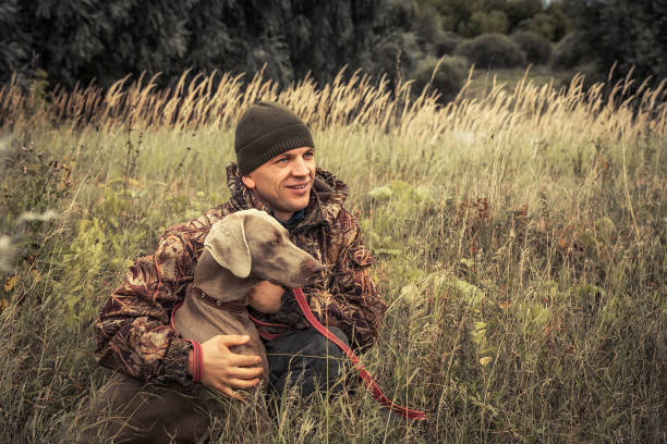 hombre cazador con perro de caza weimaraner en hierba alta en campo rural durante la temporada de caza - cazador fotografías e imágenes de stock